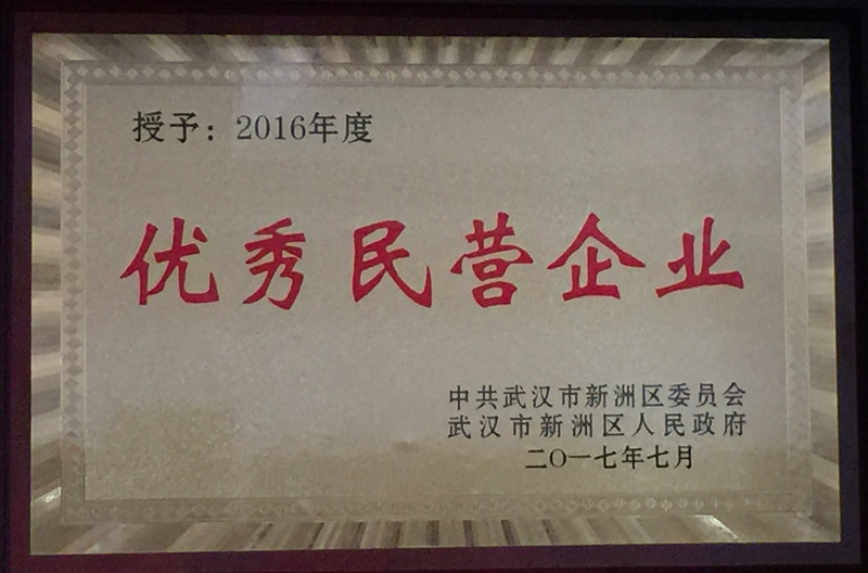 2016年度新洲區(qū)優(yōu)秀民營(yíng)企業(yè)
