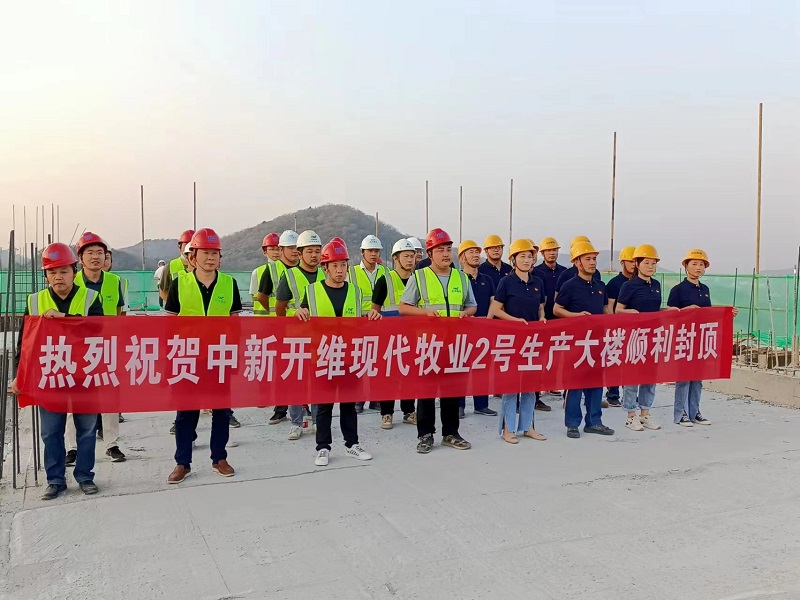 集團(tuán)承建中新開維樓房養(yǎng)豬示范基地二期項(xiàng)目成功封頂