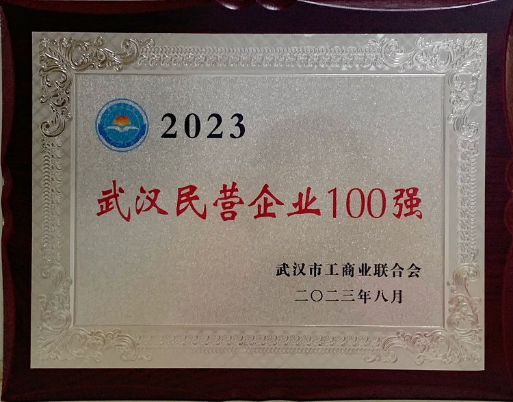 喜訊！我司再度入選武漢民營(yíng)百?gòu)?qiáng)榜